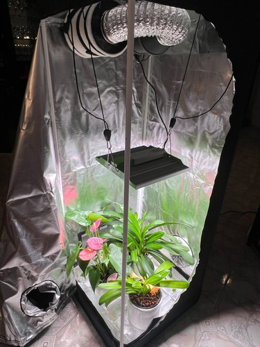 Growbox led komplettset x - growbox, 60