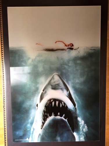 Roger kastel jaws - jaws,, shark
