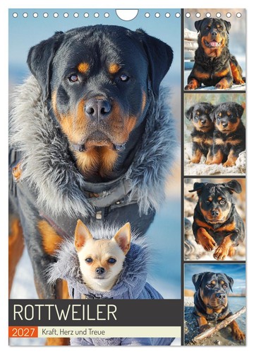 Rottweiler kraft herz - rottweiler., kraft,