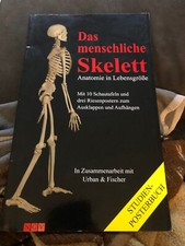 ❤️DAS MENSCHLICHE SKELETT - 10 SCHAUTAFELN UND DREI RIESENPOSTER ZUM AUSKLAPPEN⚡