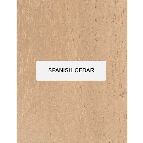 Spanische zeder explorer - spanische,