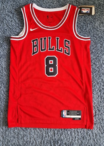 Chicago bulls nba s - chicago,