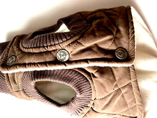 Canine Styles, New York