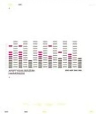 Apoptygma Berzerk - Harmonizer