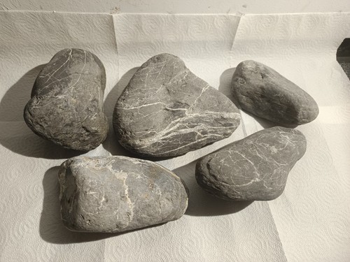 10kg aquarium aquarien steine - aquarium,
