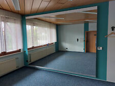 Großer Spiegel auf MDF Platte, stabil, hochwertig, 242 x 93,5 cm