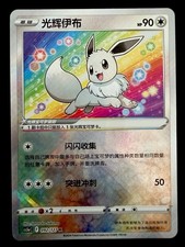 Pokemon TCG Chinesisch