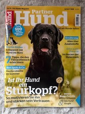 Partner Hund 07/2025 Hunde