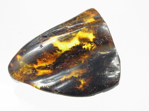 Schöner großer honig amber - schöner,