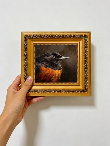 Schwarz orange vogel portrait - vogel,