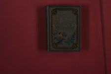 382970 CHRISTLICHES VERGISSMEINNICHT Enßlin & Laiblin Verlagsbuchhandlung in