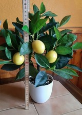Künstlicher Zitronenbaum mit