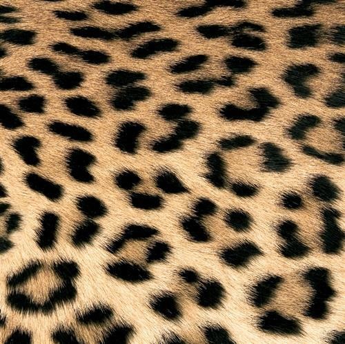 Servietten leopard couture - servietten,