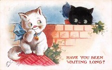 POSTCARD COMIC  CAT THEME