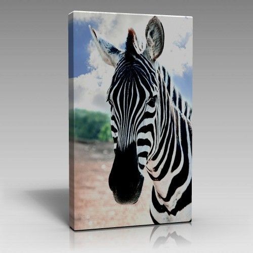 Leinwand bilder abstrakt - leinwand,