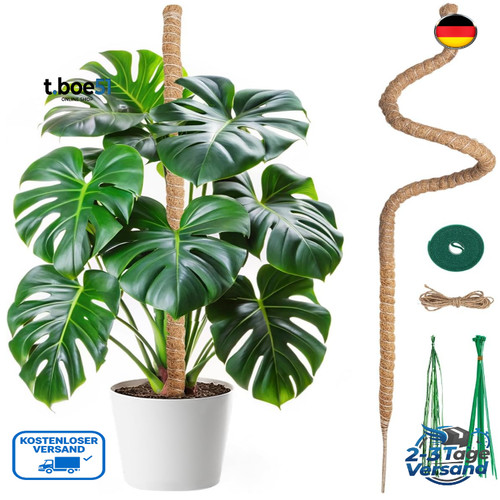 Monstera rankhilfe 120 - monstera,