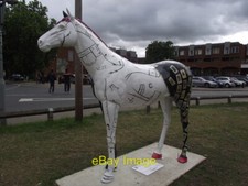 Photo 6x4 Horse About