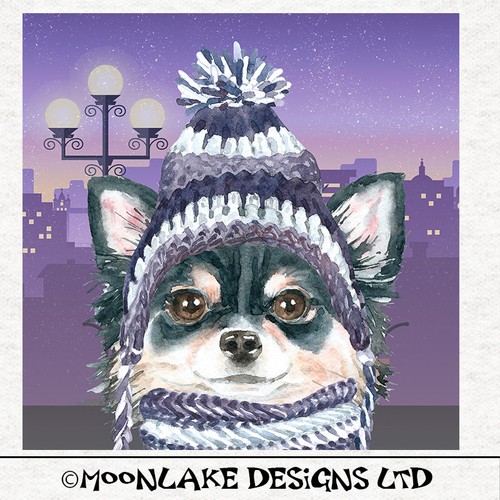 Hund chihuahua wintermütze - chihuahua,
