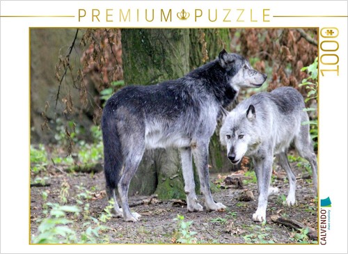 Calvendo puzzle der timberwolf - calvendo,