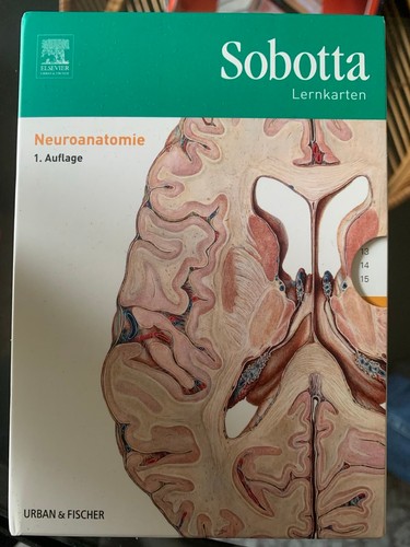 Sobotta lernkarten - sobotta,