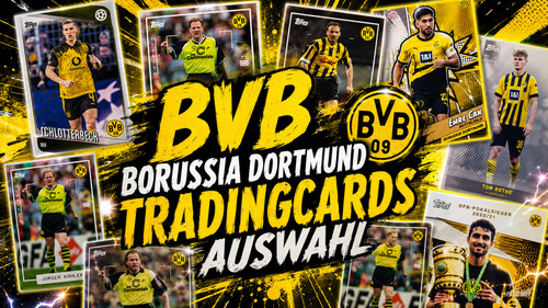 Bvb borussia dortmund - bvb,