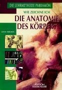 Wie zeichne ich die anatomie - wie,