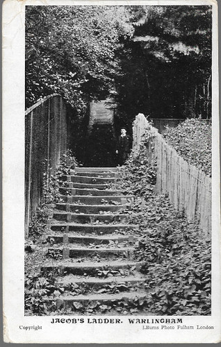 Warlingham surrey jacobs - surrey,