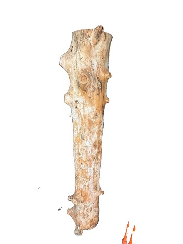 Massiver baumstamm naturholz - massiver,