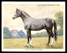 Players Type of Horses 1939 -
