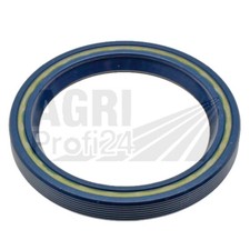 Kurbelwellendichtring hinten