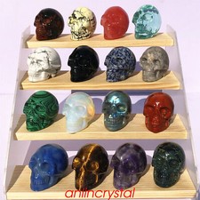 Top! wholesale Natural skull