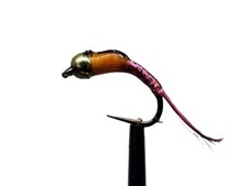 Tungsten Nymphe "  Perdigone