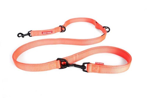 Ezydog vario blaze - ezydog, orange