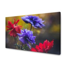 Leinwand-Bilder Pflanzen