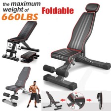 Hantelbank Trainingsbank