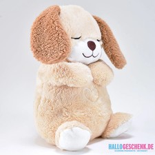 Sleep and Snuggle • Atmender