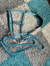 Eskadron Grafitti Petrol