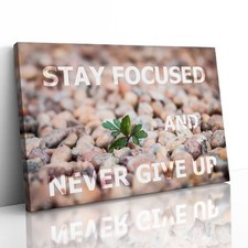 Stay Focused Never Give Up Motivierender gerahmter Leinwanddruck Bild Wandbild