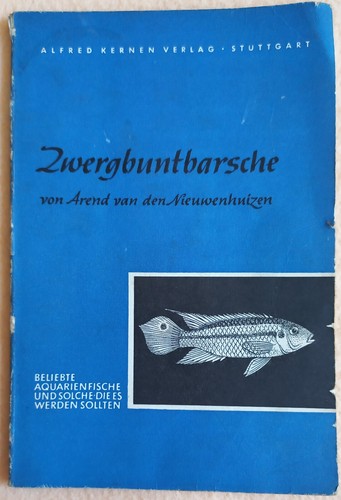 Nieuwenhuizen - ,