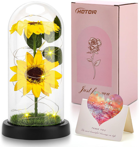 Ewige sonnenblumen deko - ewige, im