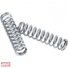 Riegelfeder GiVi 2 Stück für