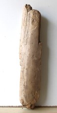 Treibholz Schwemmholz Driftwood  1  knorrige XL  Skulptur  Dekoration 66 cm