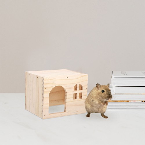 Meerschweinchen käfig - meerschweinchen,