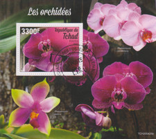 Blumen orchideen tschad - blumen,