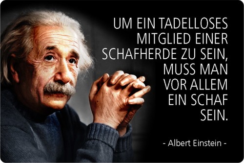Schild spruch mitglied - spruch, "mitglied