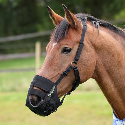 Shires freegraze airflow - shires,