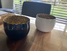 2 er Set Windlicht Stern Teelichthalter Weihnachten  H 5 cm weiß schwarz Gold 