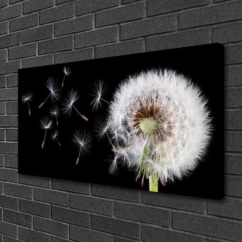 Leinwand bilder 100x50 - leinwand-bilder,