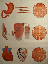 Schulwandkarte DDR Rollkarte