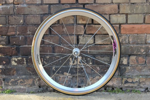 Campagnolo shamal hinterrad - campagnolo,